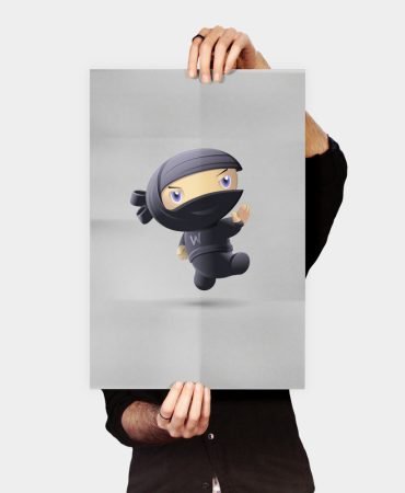 Flying Ninja